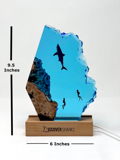 Shark Night Light - Recycled Resin Ocean Lamp I Discover Sharks Official Shop